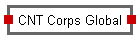 CNT Corps Global